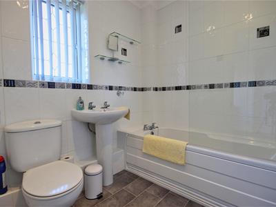 Picture 8